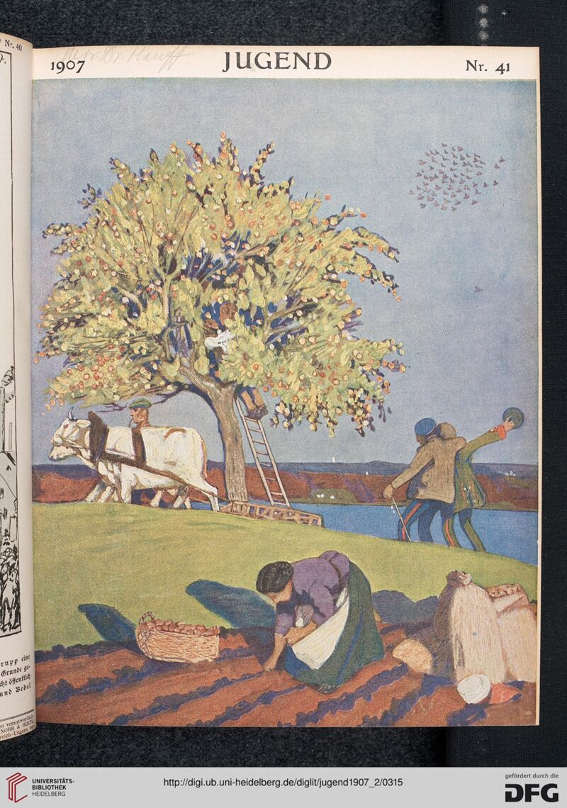 Jugend 1907 Nr. 41