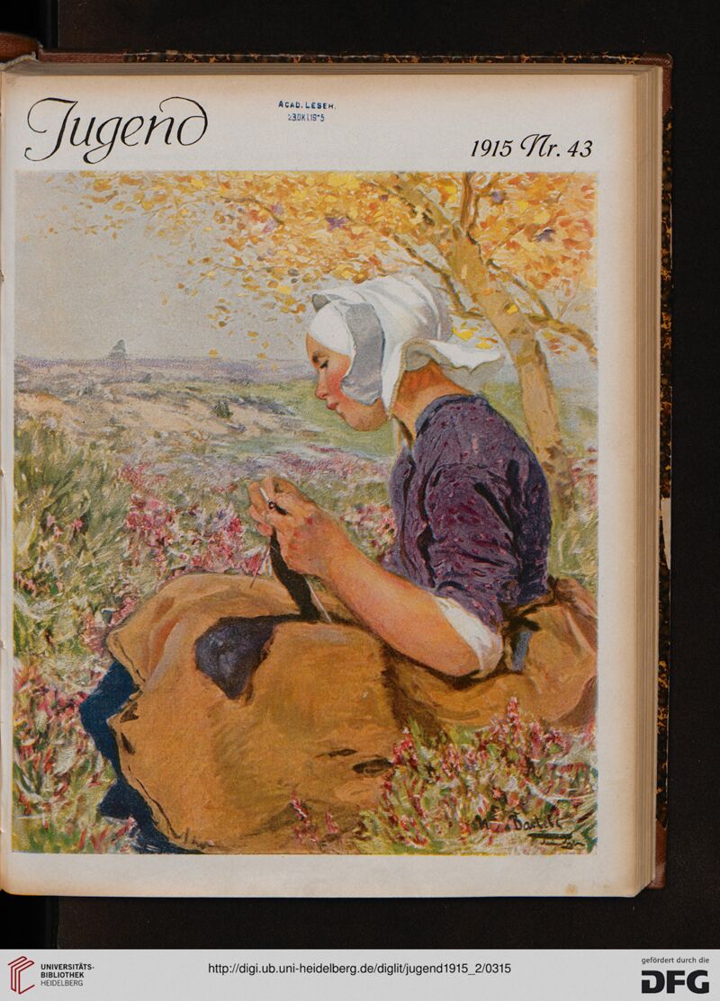 Jugend 1915 Nr. 43