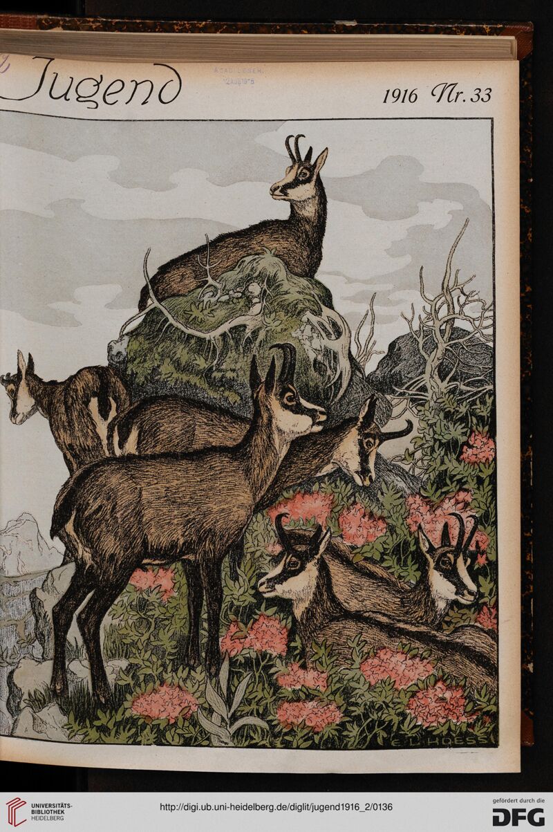 Jugend 1916 Nr. 33