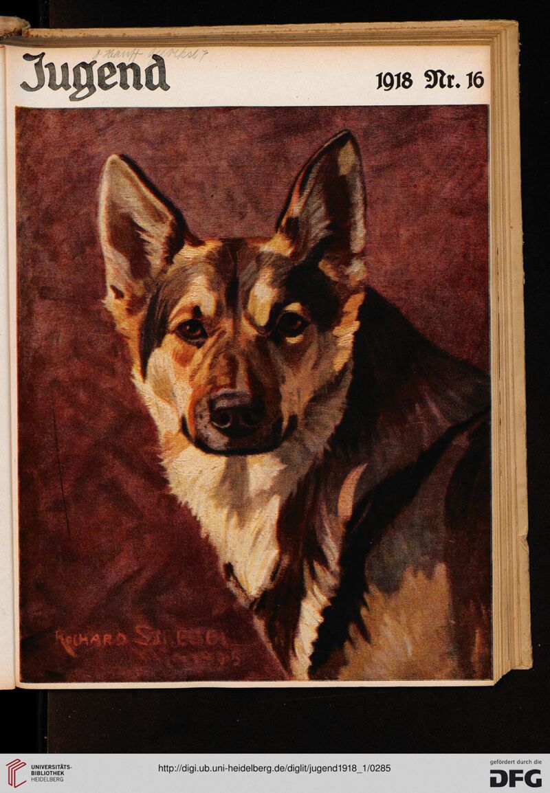 Jugend 1918 Nr. 16