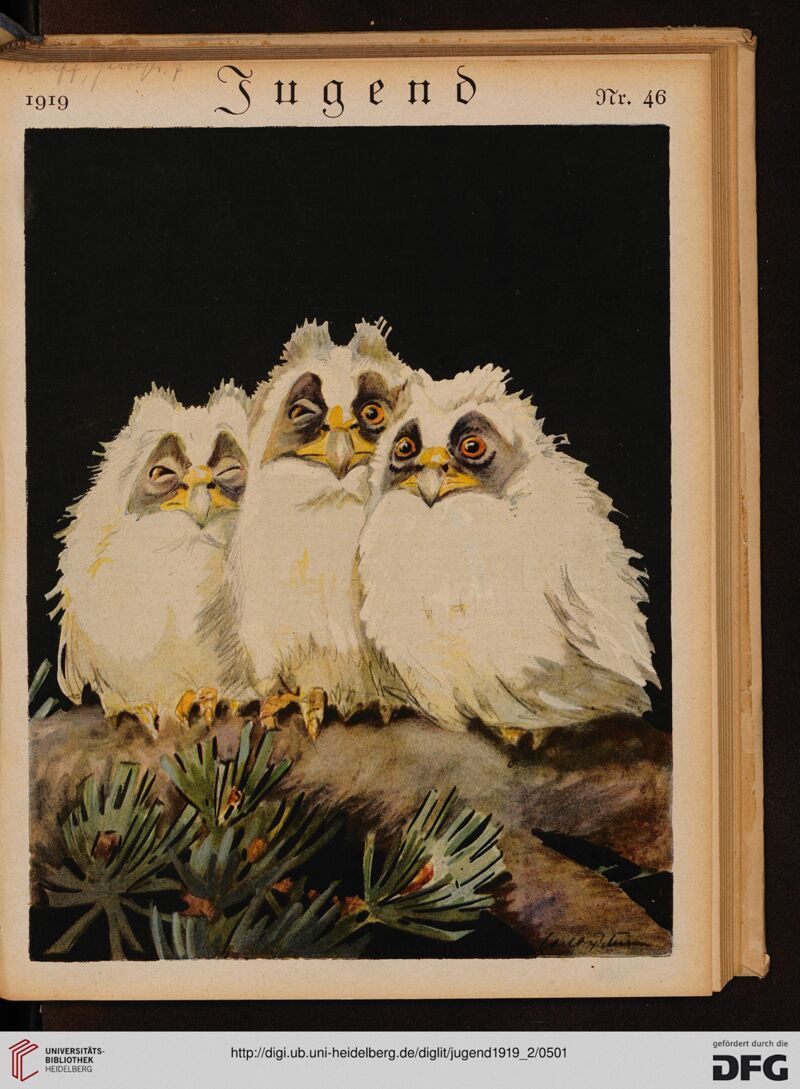 Jugend 1919 Nr. 46